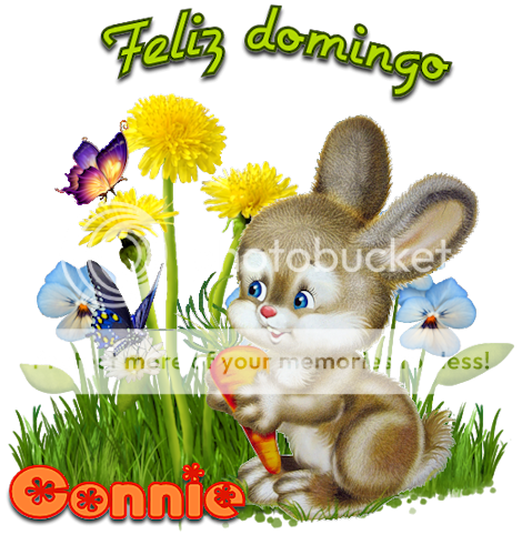 http://i884.photobucket.com/albums/ac41/martavargas1/Firmas2/Felizdomingo_zps642ac9cc.png