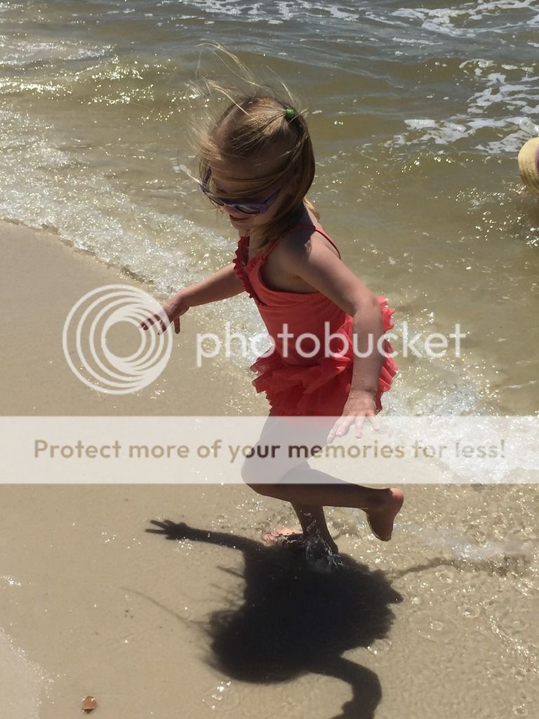 photo IMG_9465_zpst4fkztjo.jpg