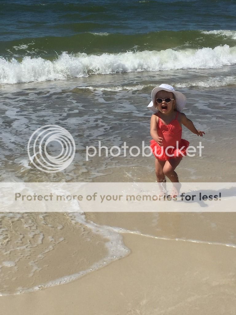 photo IMG_9502_zps1qkbhoim.jpg