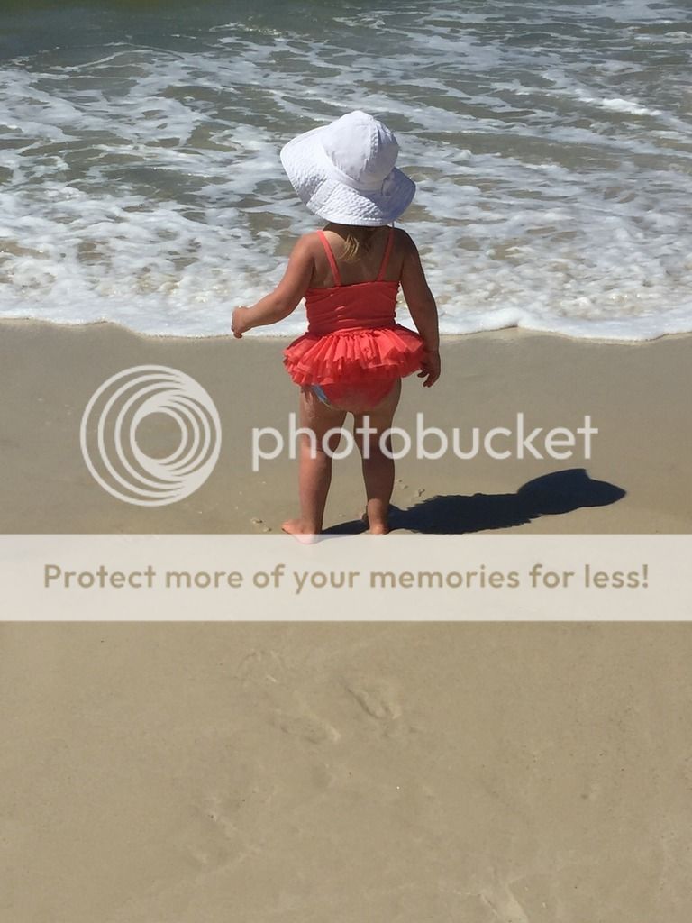 photo IMG_9504_zpsfjledss5.jpg