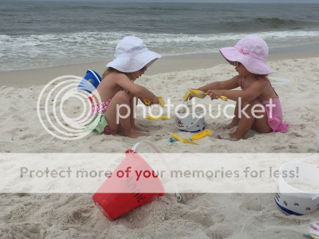 photo IMG_9560_zpsmudu7wkx.jpg