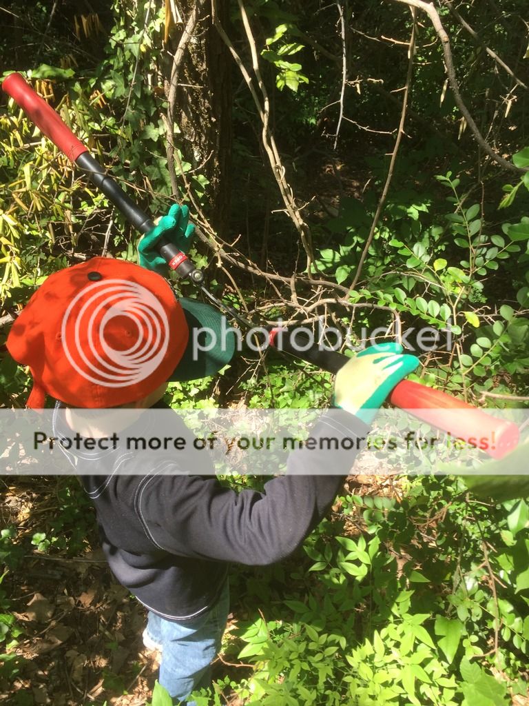 photo image6_zpsqgfep8pn.jpg