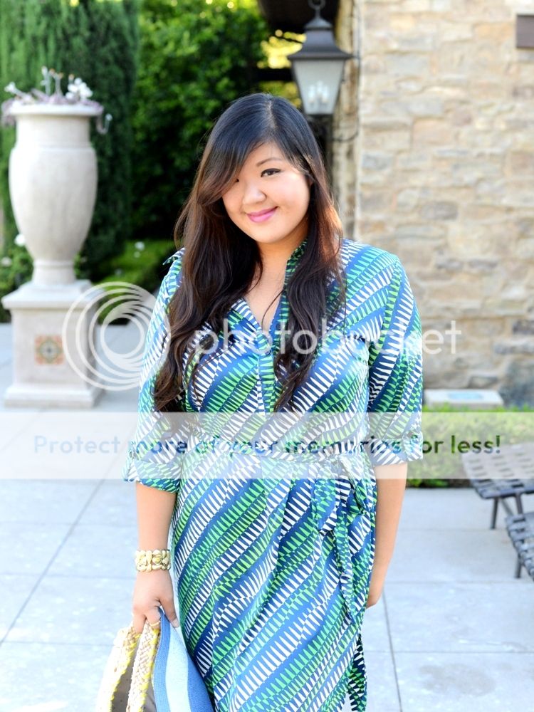 Curvy Girl Chic Plus Size Fashion Blog - Melissa Masse Dress Summer Essentials