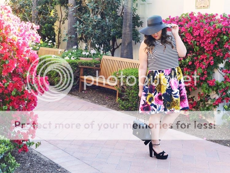 photo IMG_2544 750.jpg