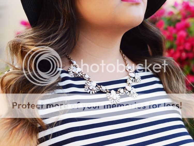 photo IMG_2553 750.jpg