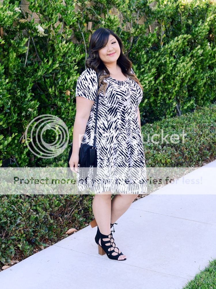 photo IMG_3286.jpg