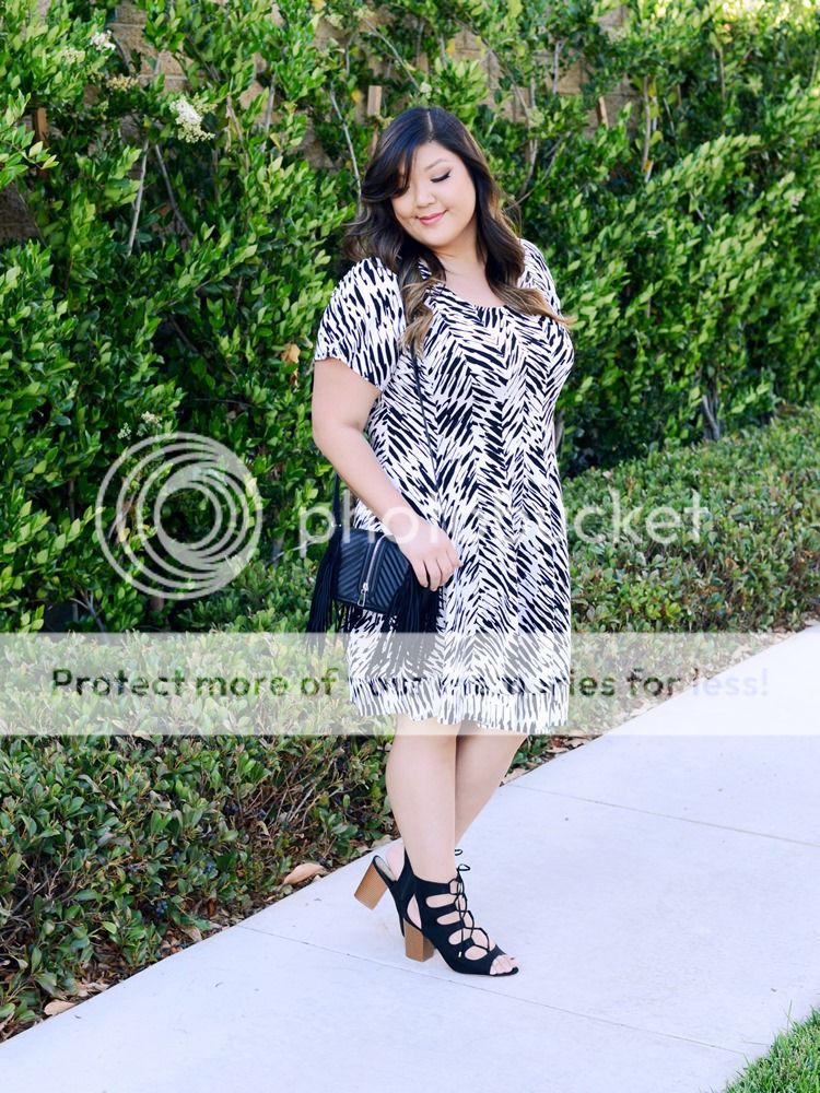 photo IMG_3287.jpg