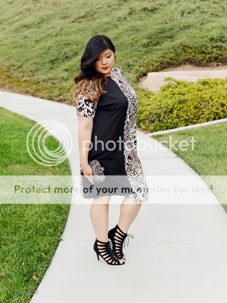Curvy Girl Chic Plus Size Fashion Blog Live the Look Two Tone Dress