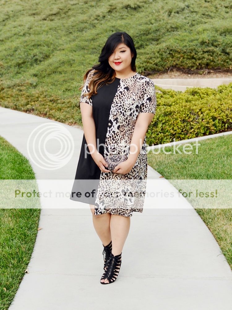 Curvy Girl Chic Plus Size Fashion Blog Live the Look Two Tone Dress