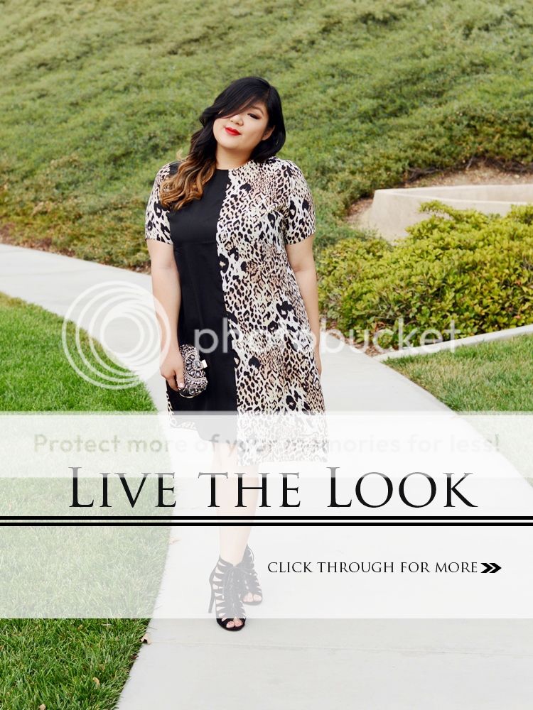 Curvy Girl Chic Plus Size Fashion Blog Live the Look Two Tone Dress
