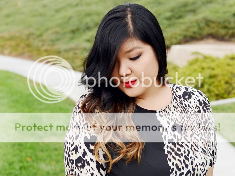 Curvy Girl Chic Plus Size Fashion Blog Live the Look Two Tone Dress