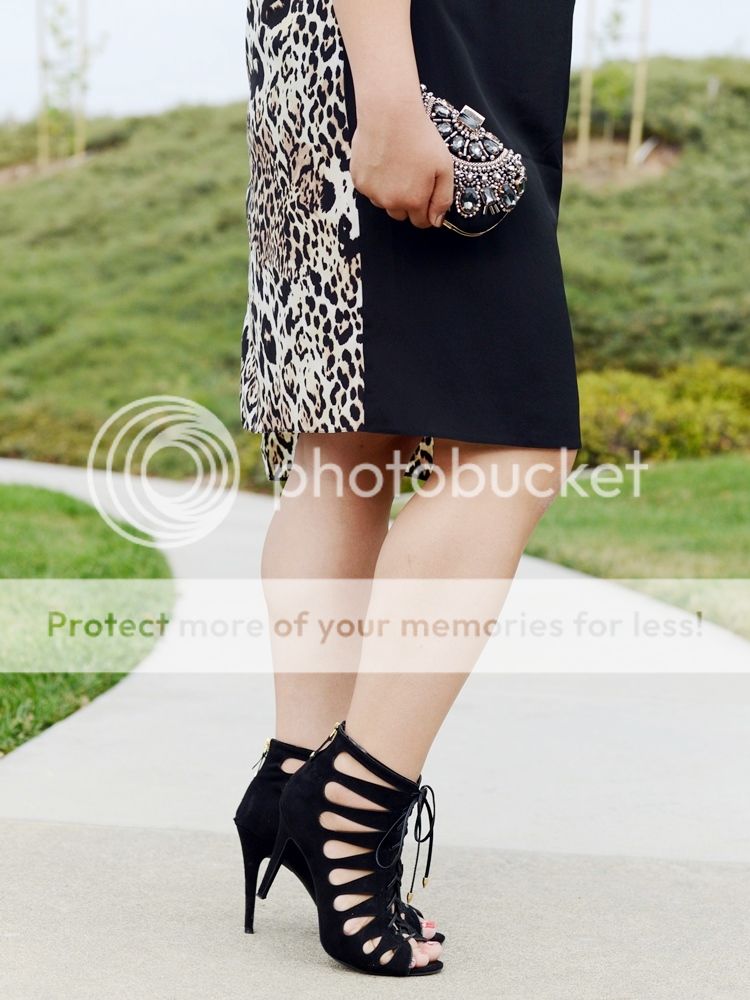 Curvy Girl Chic Plus Size Fashion Blog Live the Look Two Tone Dress