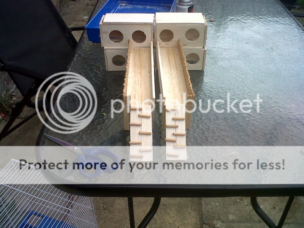 What toys to get my rabbit Rabbits United Forum