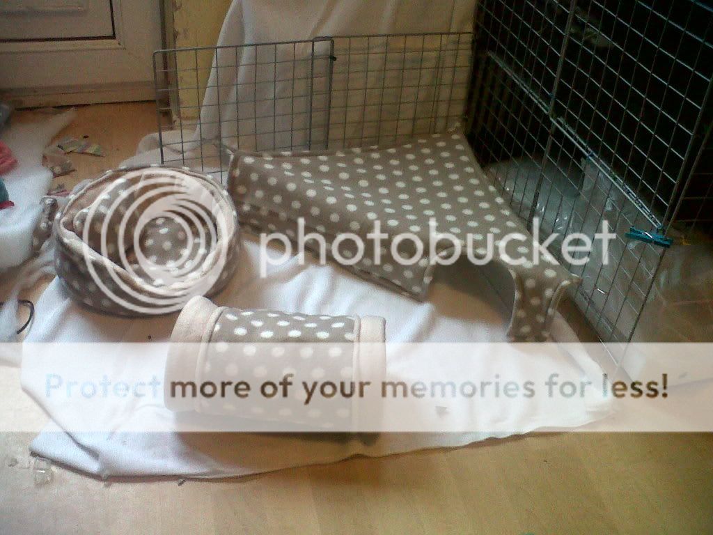 What toys to get my rabbit Rabbits United Forum