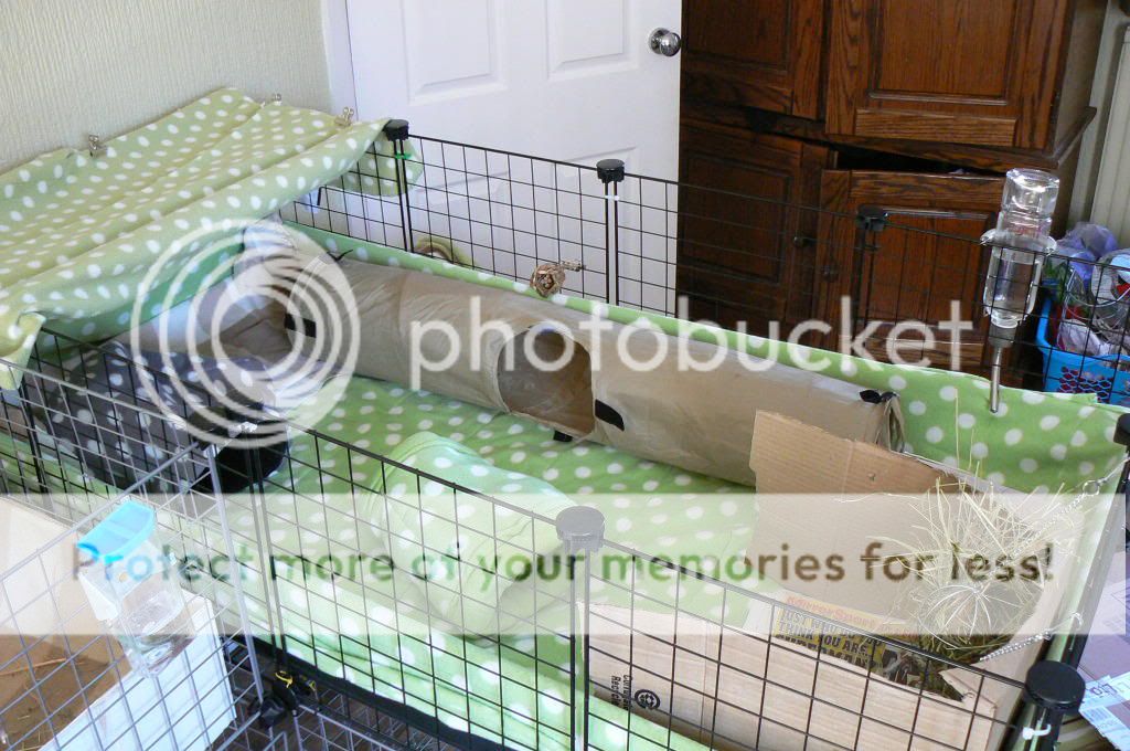 How to make a cage liner. Page 2