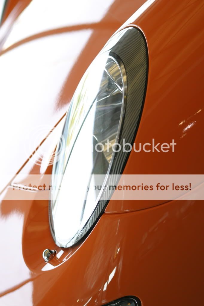 IMAGE: http://i884.photobucket.com/albums/ac49/Sean_Greene/IMG_0461.jpg