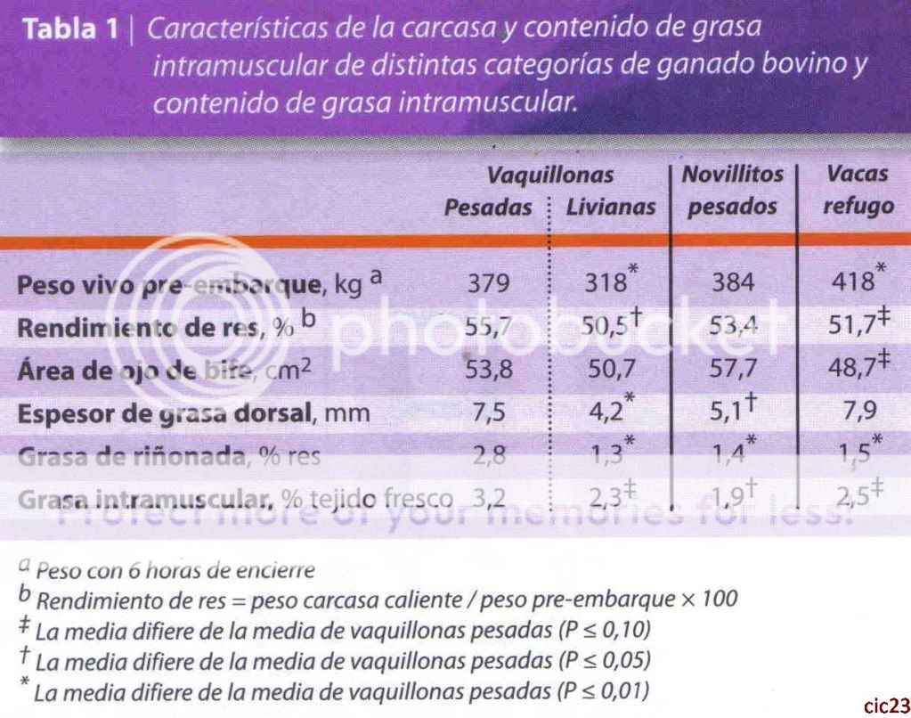 consumo