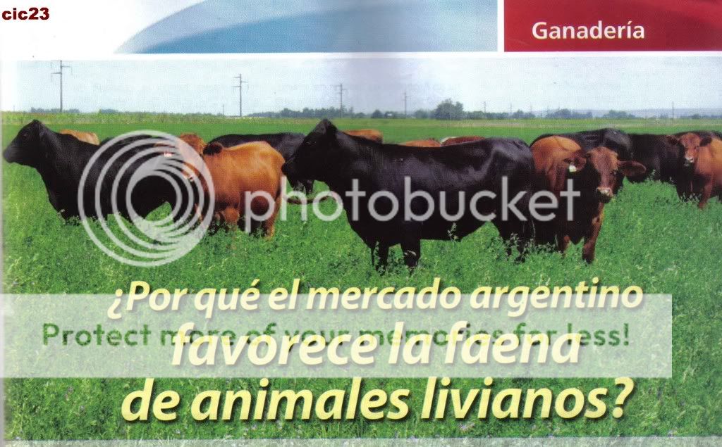 carne