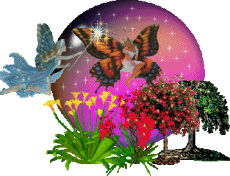 Butterfly Cards