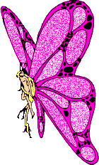 Butterfly Greetings