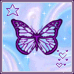 Butterfly Comments