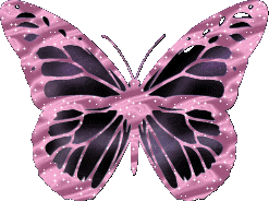 Butterfly Animations