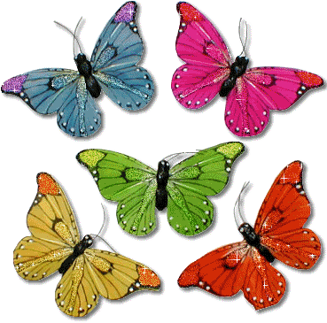 Butterfly Photos