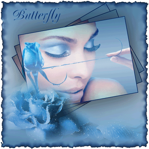 Butterfly Greetings
