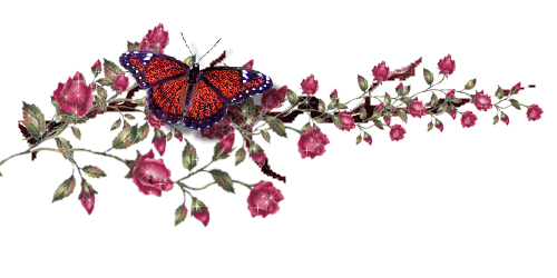 Butterfly Comments