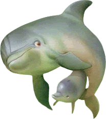 Dolphin Glitters