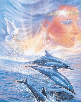 Dolphin Pictures