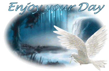 Enjoy Photos