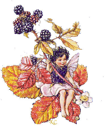 Fairy Photos