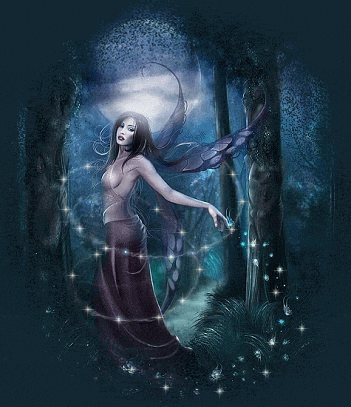 Fairy Comments