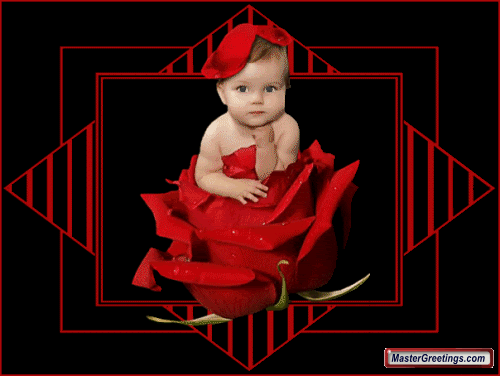 Flower Cards