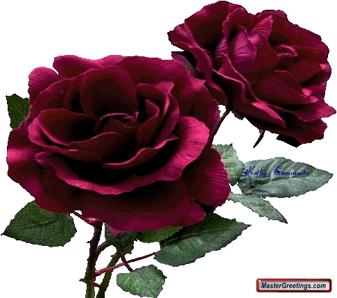 Flower Photos