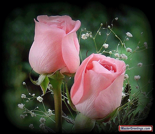 Flower Comments