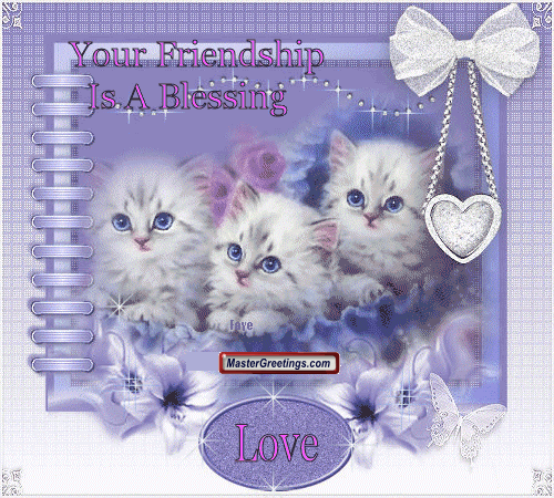 Friendship Fact Graphics