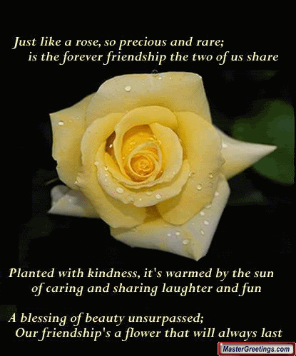 Friendship Fact Pictures