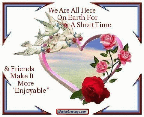 Friendship Flower Codes