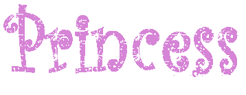 Princess Codes