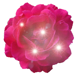 Rose Comments