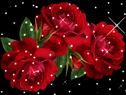 Rose Animations