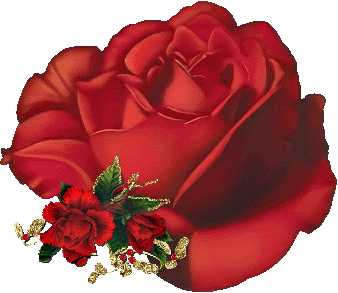 Rose Greetings