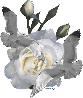 Rose Graphics