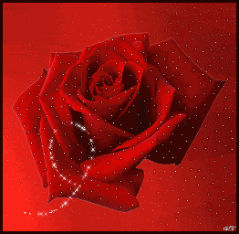 Rose ecards