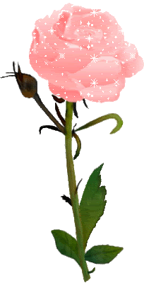 Rose Codes