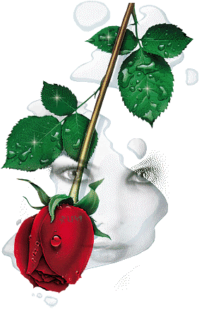Rose Greetings