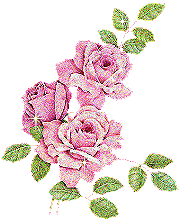 Rose Scraps