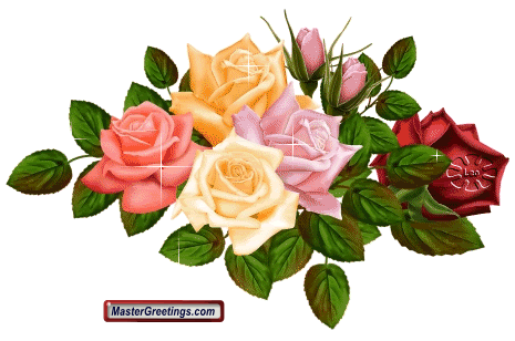 Rose Glitters